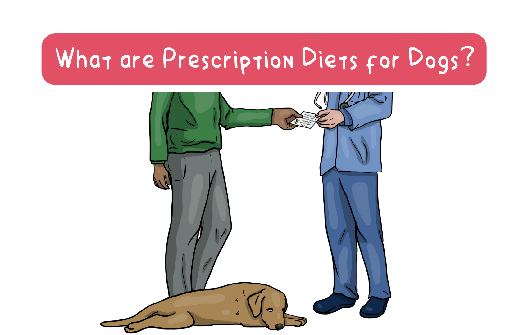 Feed Real Institute Learn about your dog's nutrition and wellness.